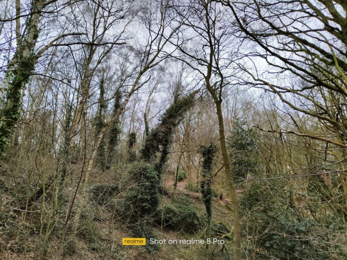 Realme 8 Pro Review Realme 8 Pro Review